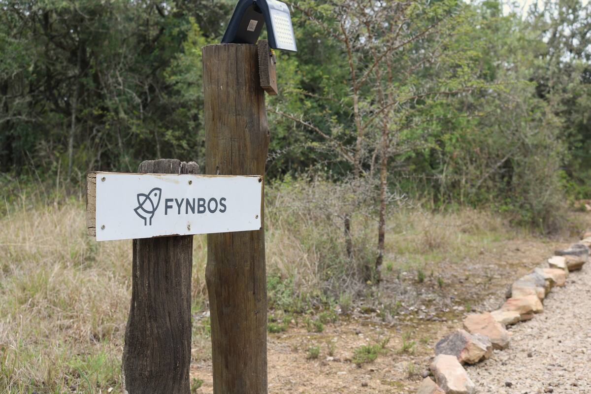 Kamar Double Mewah | Seprai katun Mesir, seprai premium, dan selimut bulu angsa