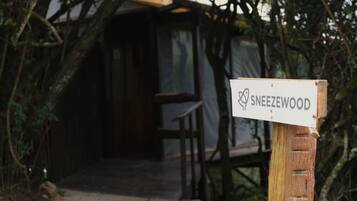 Luxury-Doppelzimmer | Bettwäsche aus ägyptischer Baumwolle, hochwertige Bettwaren