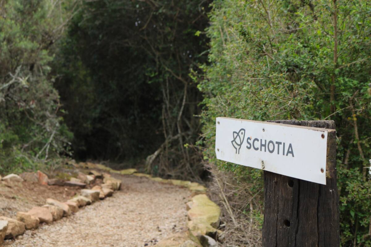 Kamar Double Mewah | Seprai katun Mesir, seprai premium, dan selimut bulu angsa