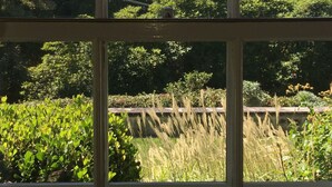 Vista a través de una ventana con un diseño de celosía, mostrando diversa vegetación, árboles altos y un muro de piedra.