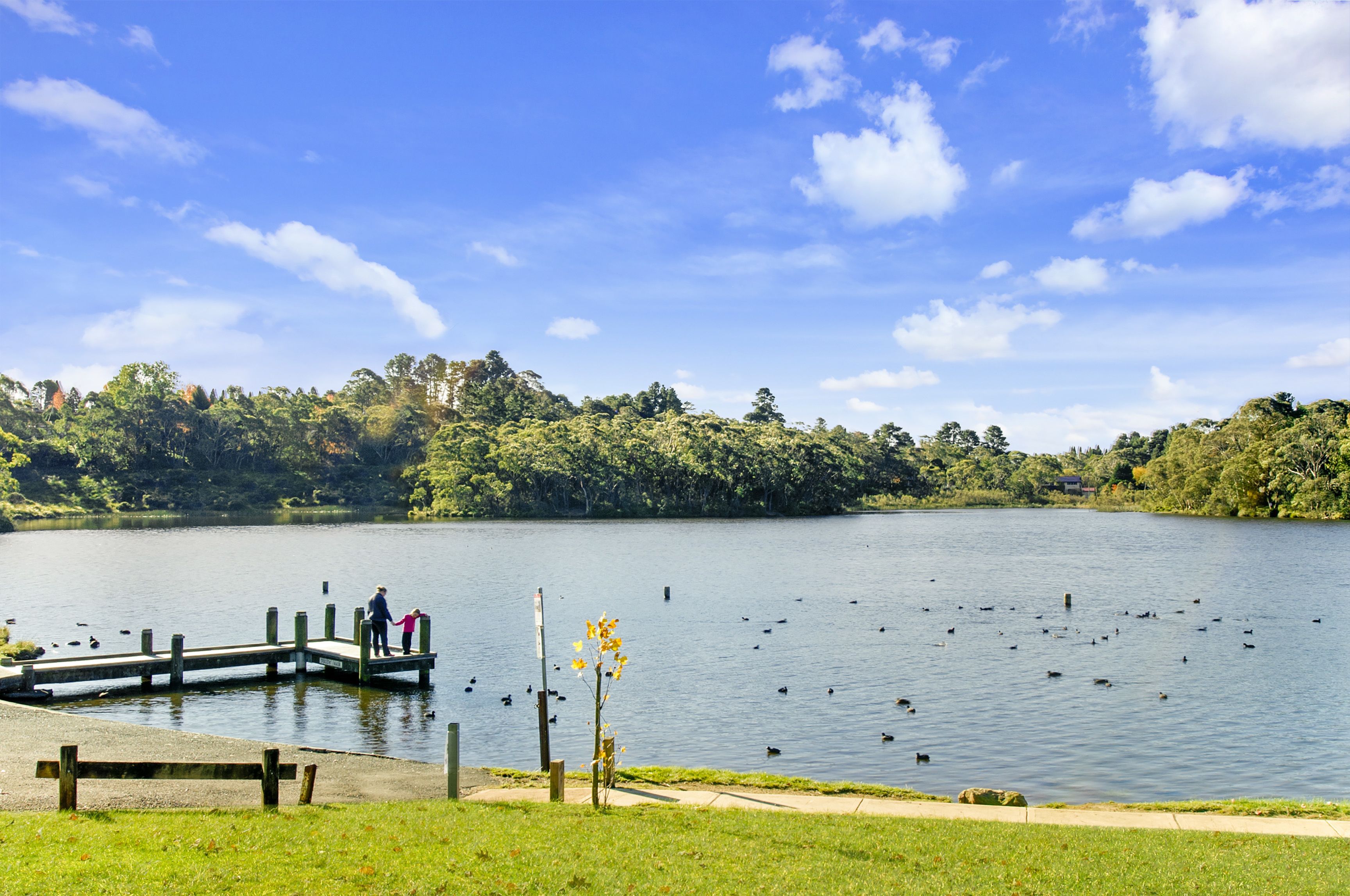 Um lago com um píer de madeira, um banco e um caminho ao longo da margem.