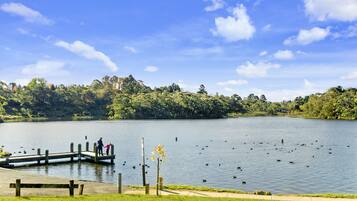 Um lago com um píer de madeira, um banco e um caminho ao longo da margem.