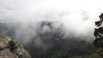 Un paisaje montañoso con bosque denso y afloramientos rocosos.