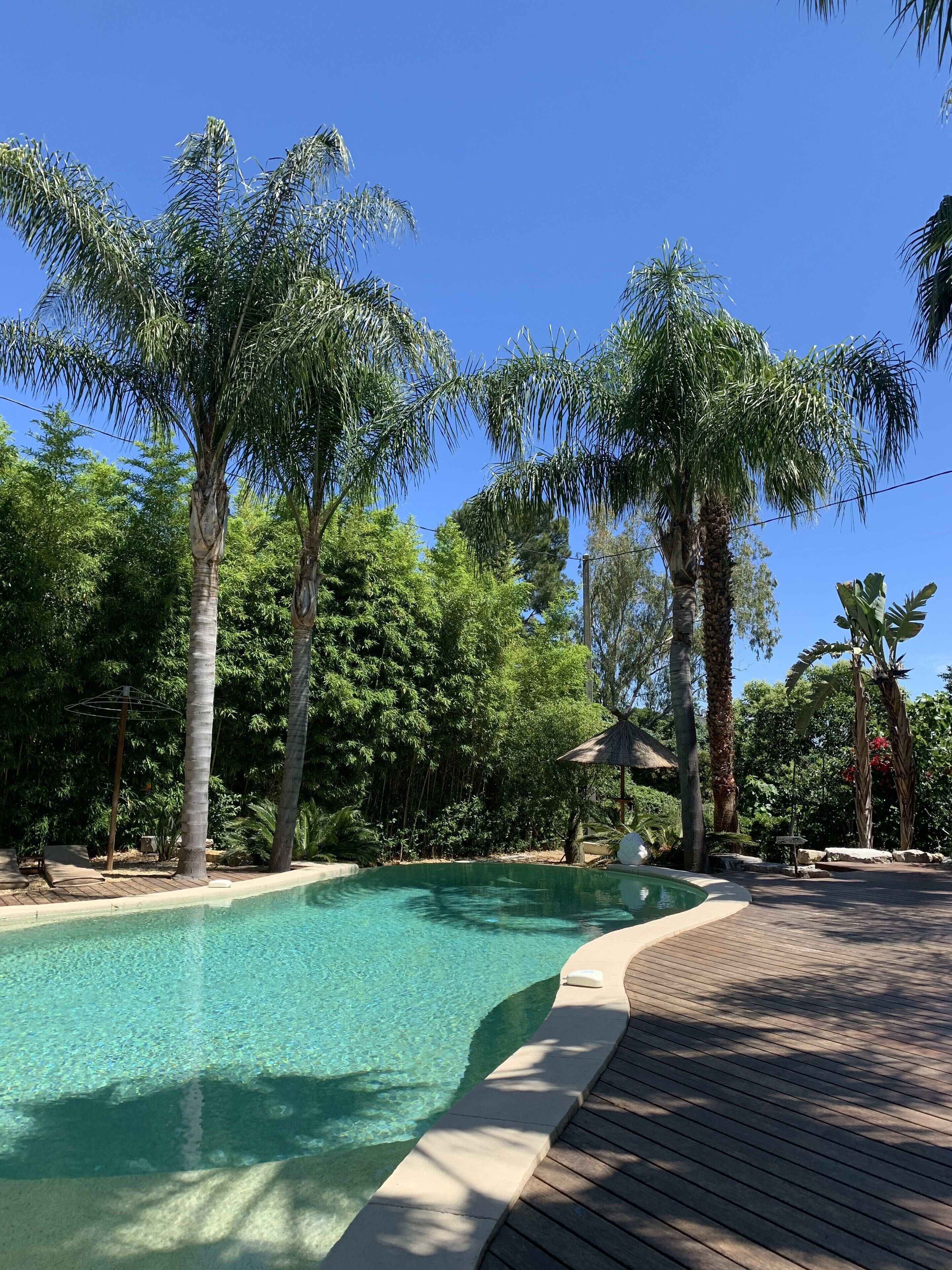 seasonal outdoor pool, pool umbrellas, pool loungers