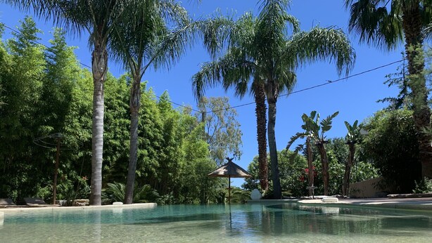 A clear pool surrounded by lush greenery and tall palm trees. - Cannes Villa St Barth (Cannes)