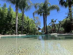 A clear pool surrounded by lush greenery and tall palm trees. - Cannes Villa St Barth (Cannes)