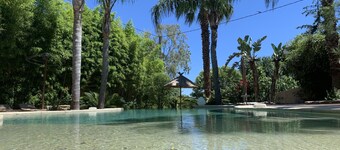 Cannes Villa St Barth