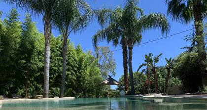 Cannes Villa St Barth