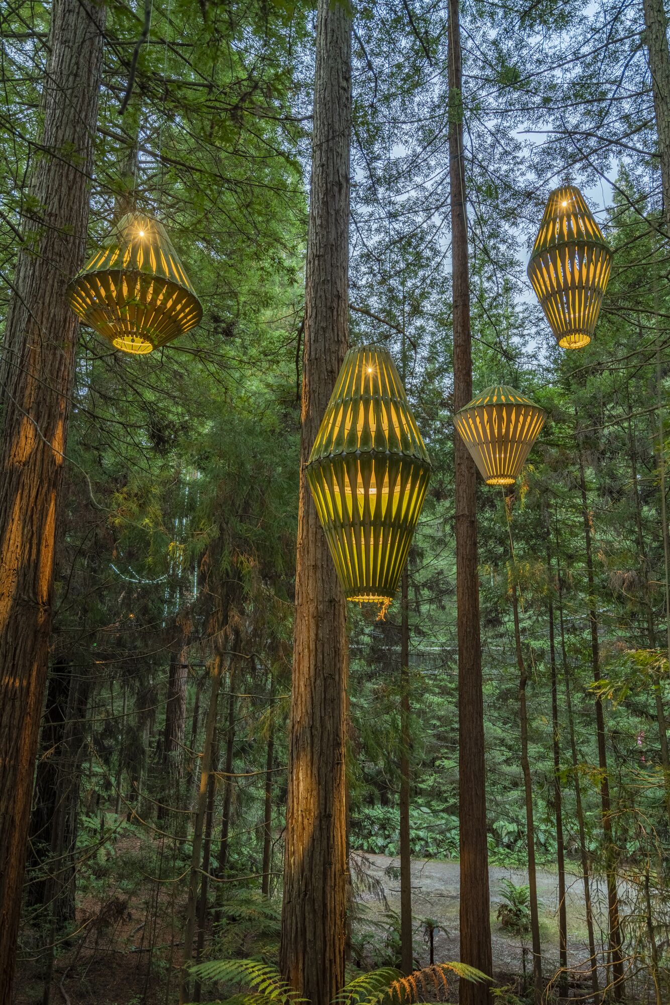A forest with tall trees and hanging lanterns.