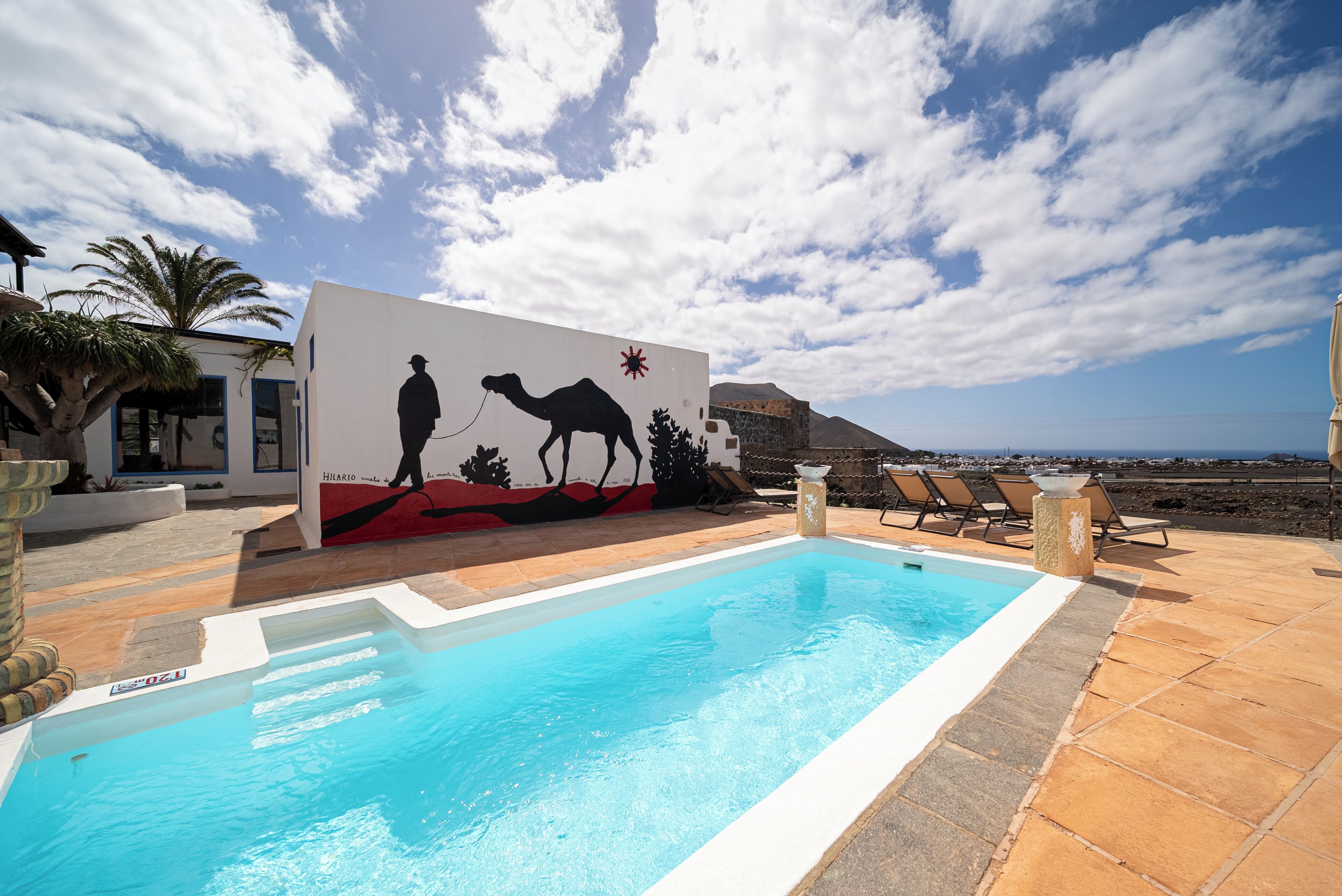 Outdoor pool, sun loungers