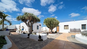 Un patio con edificios blancos, suelo de piedra y diversas plantas.