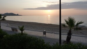 Een strand met een zonsondergang, palmbomen en een verhard pad.