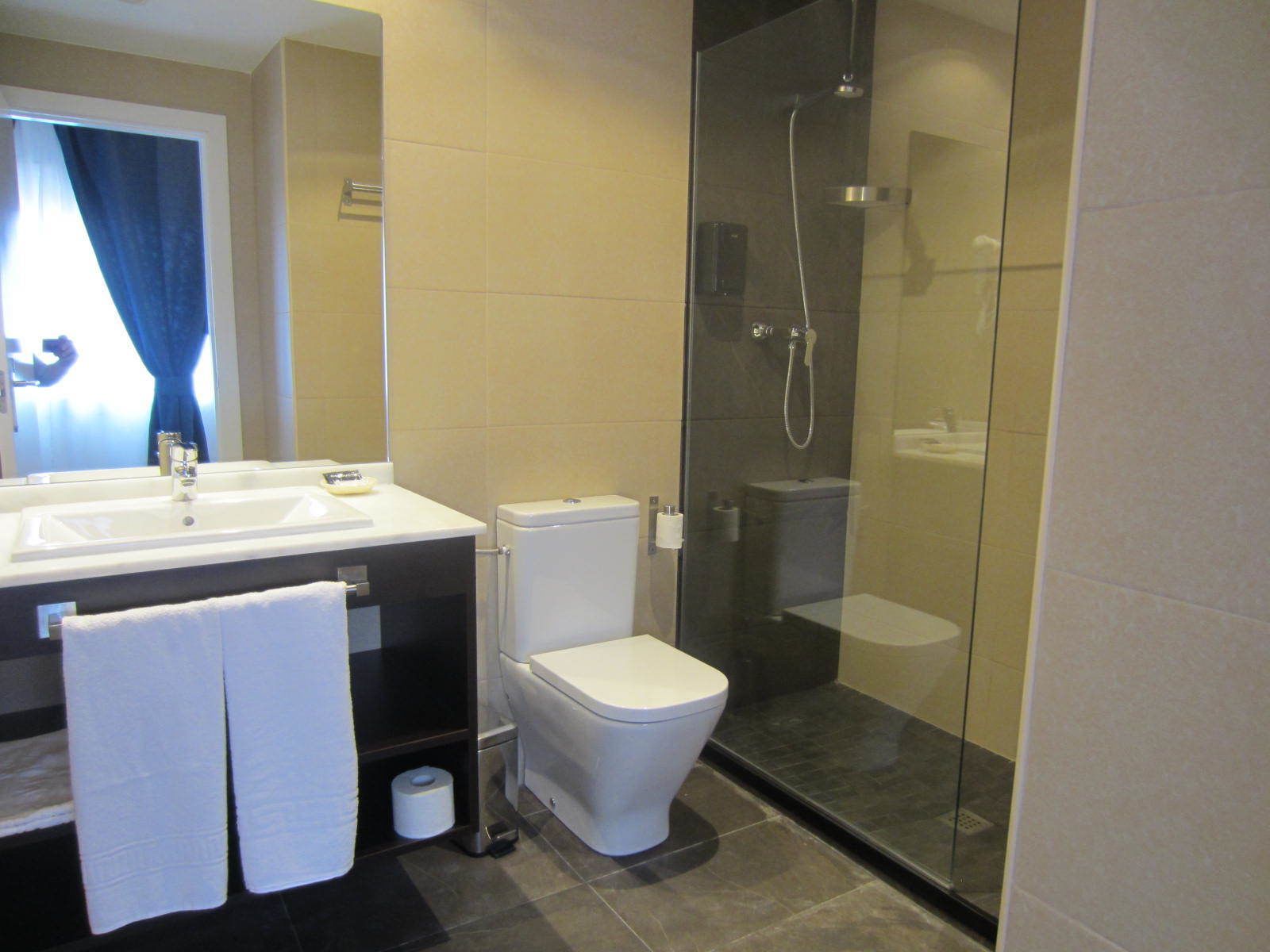 Un baño moderno con ducha de vidrio, un lavabo blanco y un inodoro.
