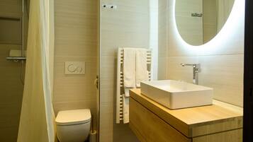 A modern bathroom with a shower, toilet, and vanity with a mirror.