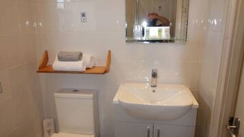Een kleine badkamer met toilet, wastafel en spiegel.
