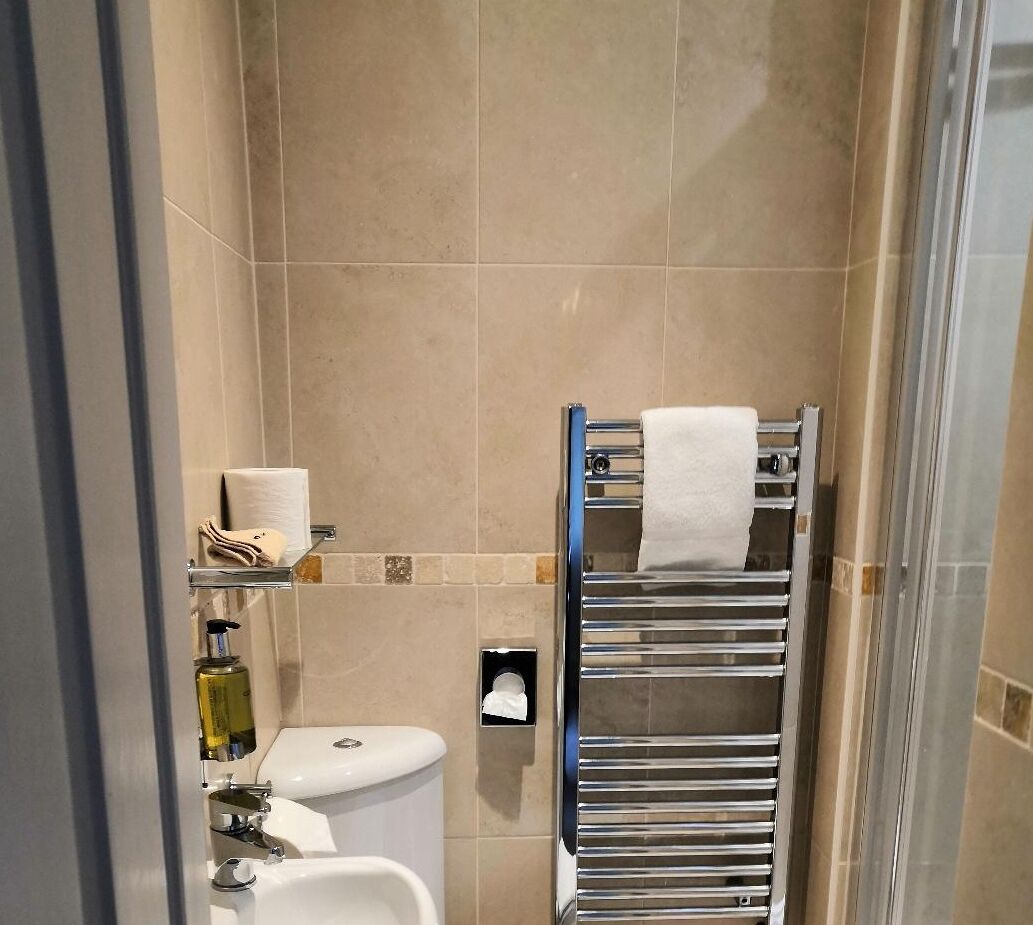 A bathroom with a glass shower enclosure, a chrome towel rack with a white towel, a toilet, and a shelf with toiletries.