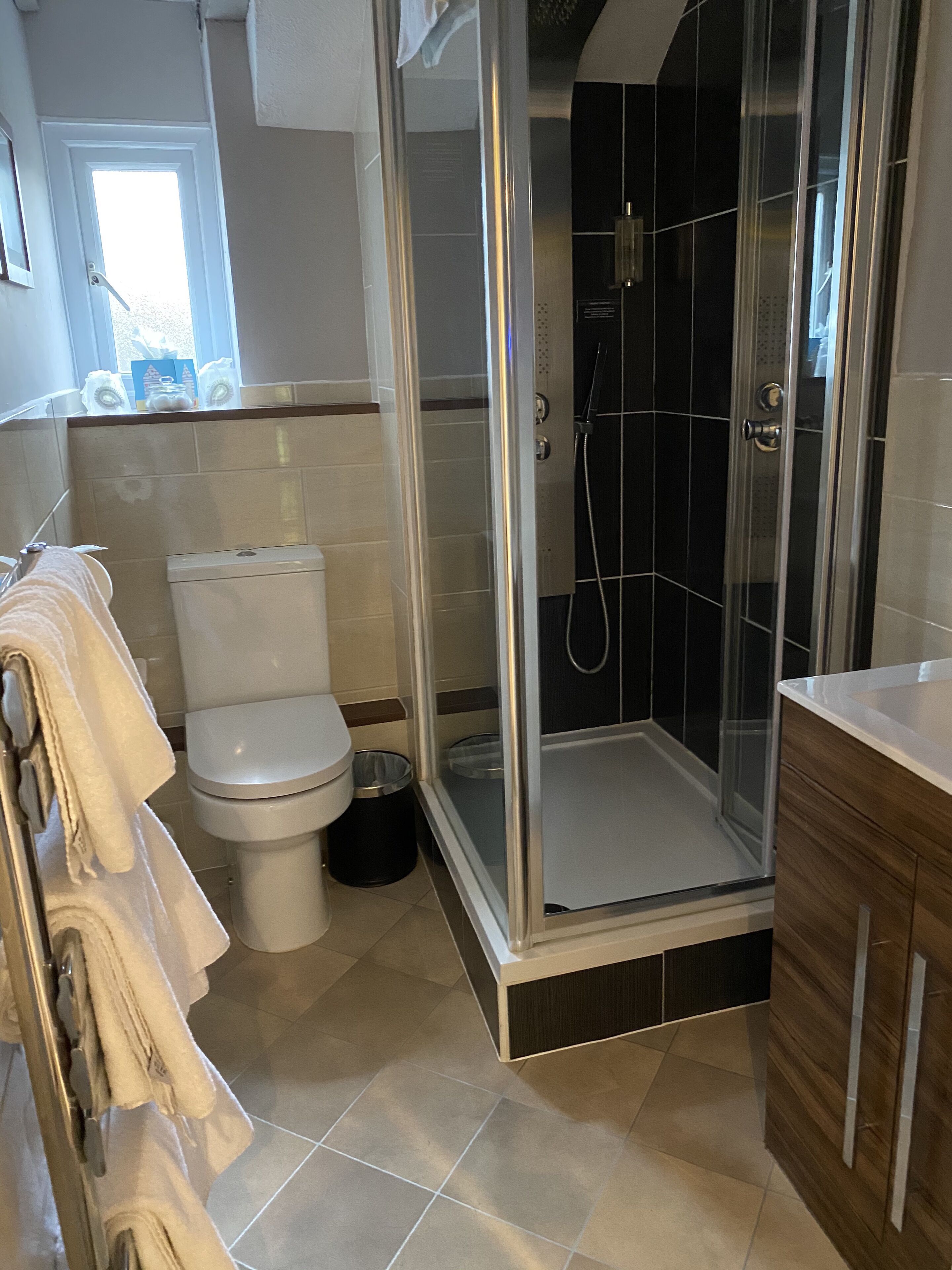 A modern bathroom with a glass-enclosed shower, a toilet, and a sink.