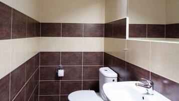Un baño con inodoro, lavamanos y espejo.