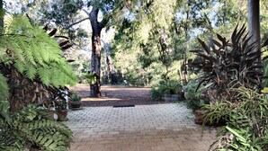 A paved pathway leading through a garden with various potted plants and trees.