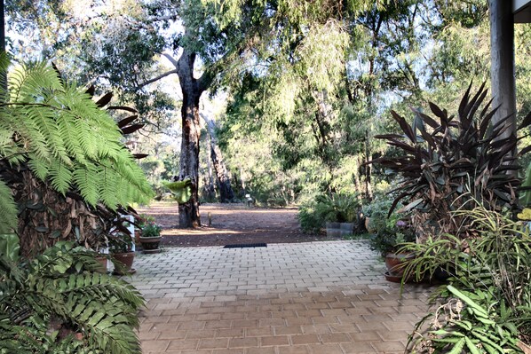 Un camino pavimentado que serpentea por un jardín con plantas en macetas y árboles variados.
