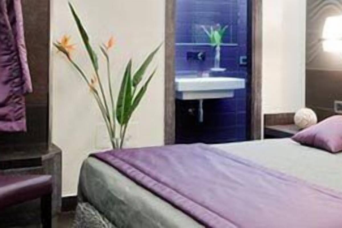 Economy room French bed | Minibar, in-room safe, blackout drapes, WiFi (free)