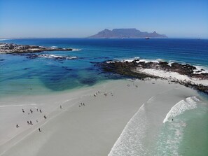 A beach with clear waters, rocky areas, and a distant mountain. - The Sir David Boutique Guest House (Cape Town)