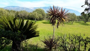 Studio, Kitchen, Mountain View | View from room - Villa Moschona (Kefalonia)