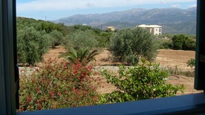 Apartment, 2 Bedrooms, Patio, Mountain View | View from room - Villa Moschona (Kefalonia)