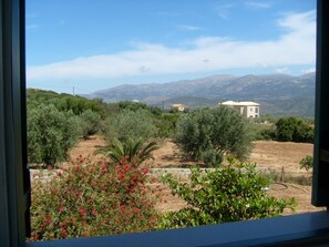 Apartment, 2 Bedrooms, Patio, Mountain View | View from room