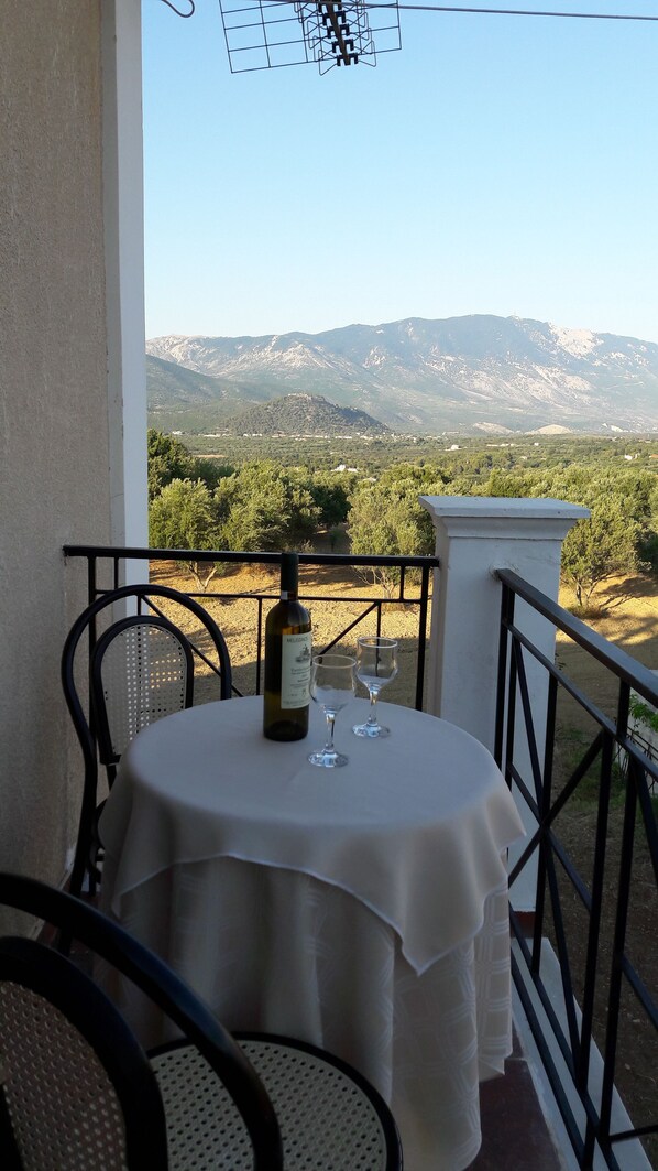 Apartment, 2 Bedrooms, Patio, Mountain View | Balcony view