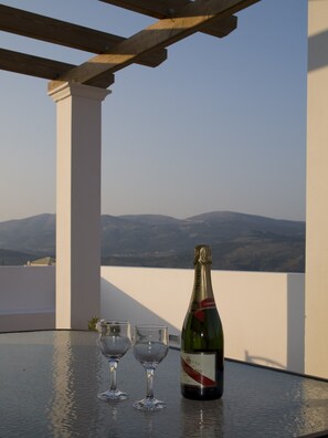 Apartment, 2 Bedrooms, Patio, Mountain View | Terrace/patio