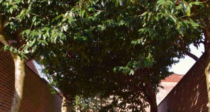 Budget Flats Brussels