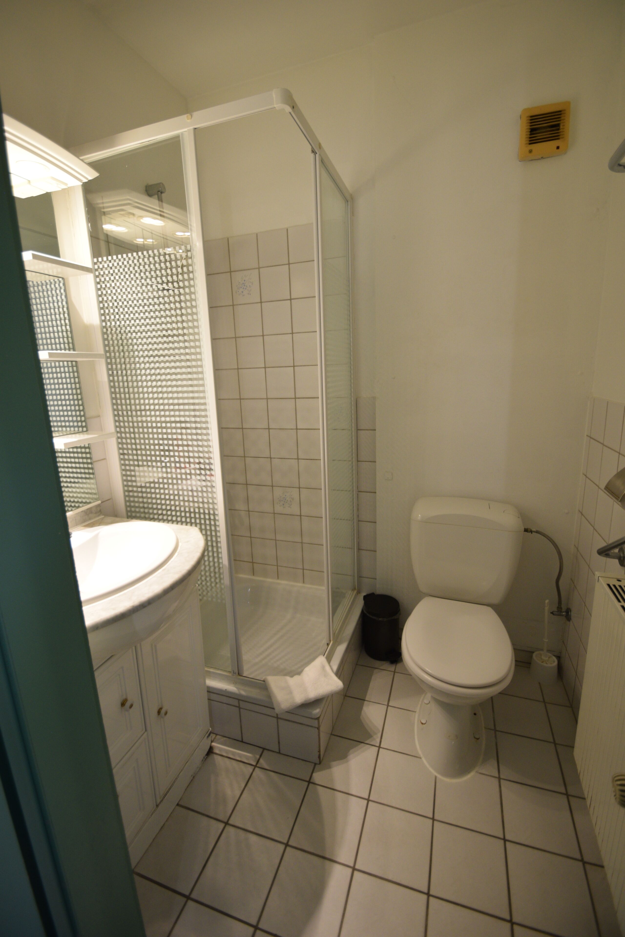 A bathroom with a toilet, a shower enclosure, a sink, and a trash bin.