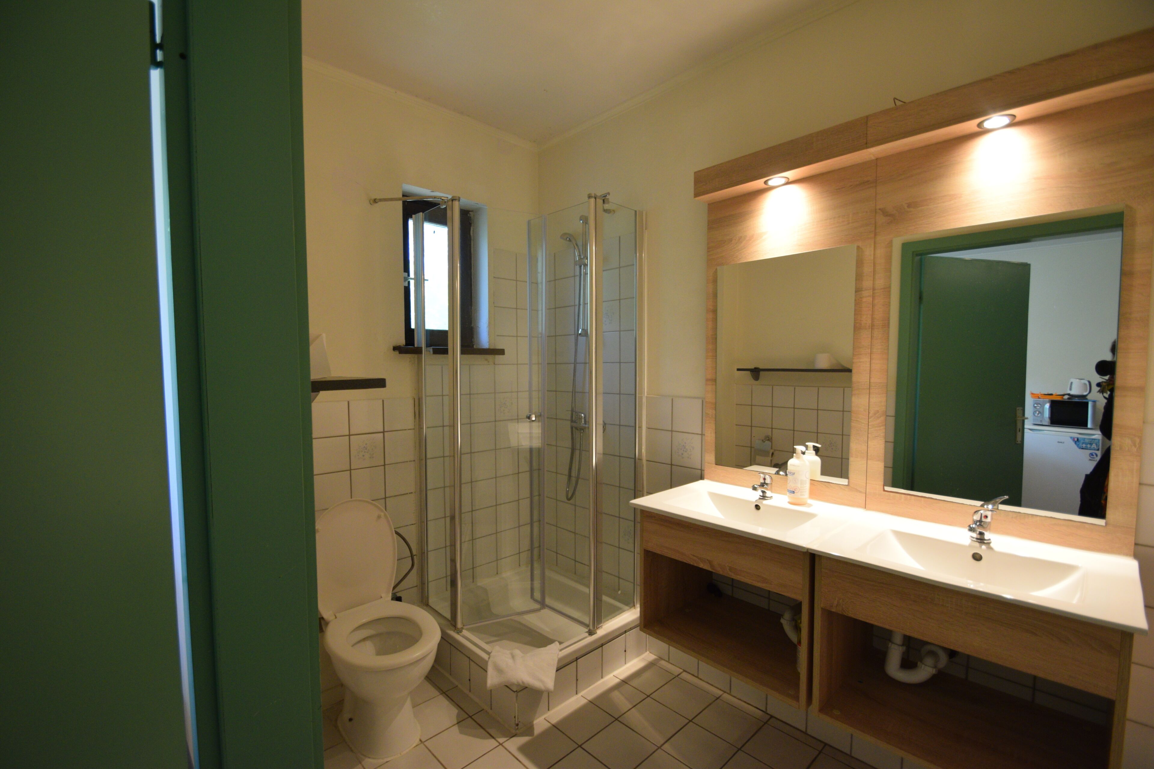 Une salle de bain comprenant des toilettes, une douche fermée par une paroi de verre et un lavabo avec un miroir au-dessus.