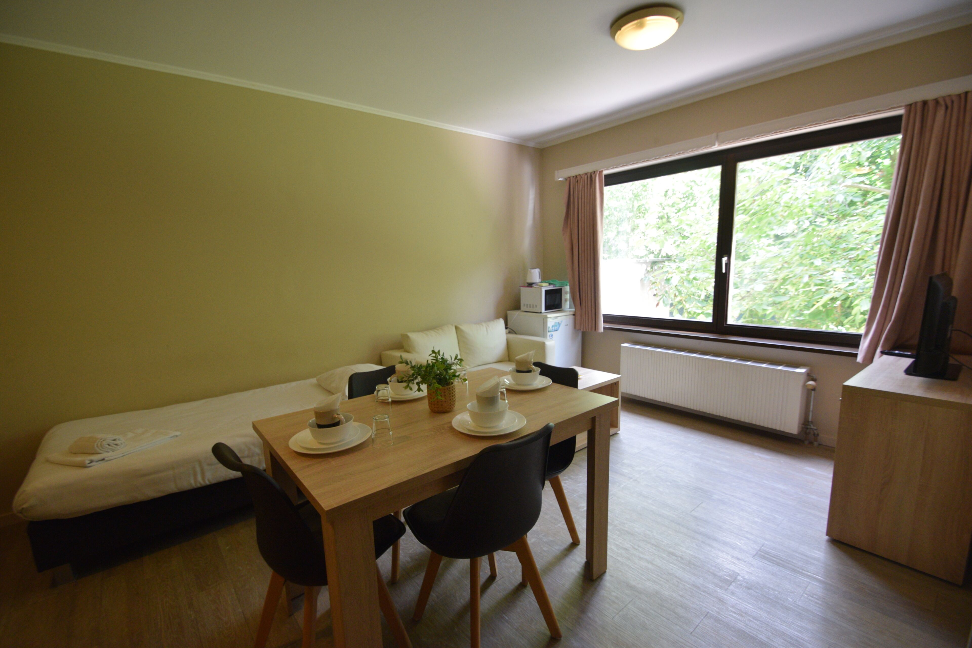 Basic Quadruple Room | Living area | TV