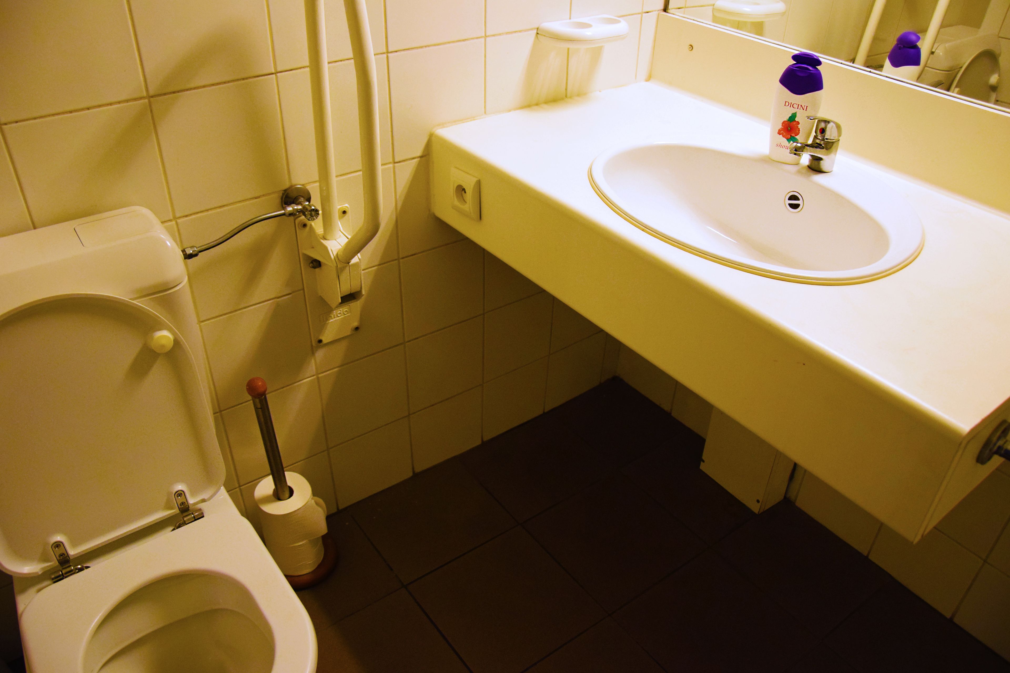 Un baño con inodoro, lavamanos y espejo.