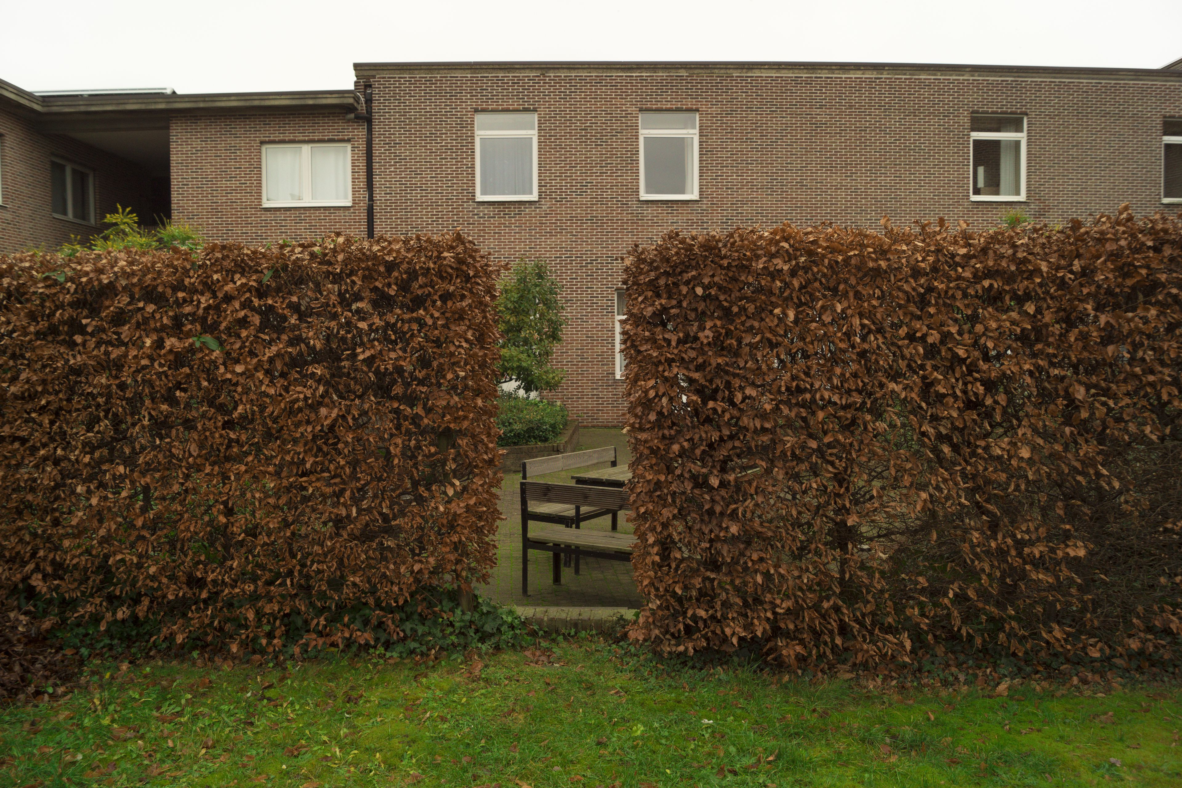 A brick building with a grassy lawn, a wooden bench, and a hedge in the foreground.