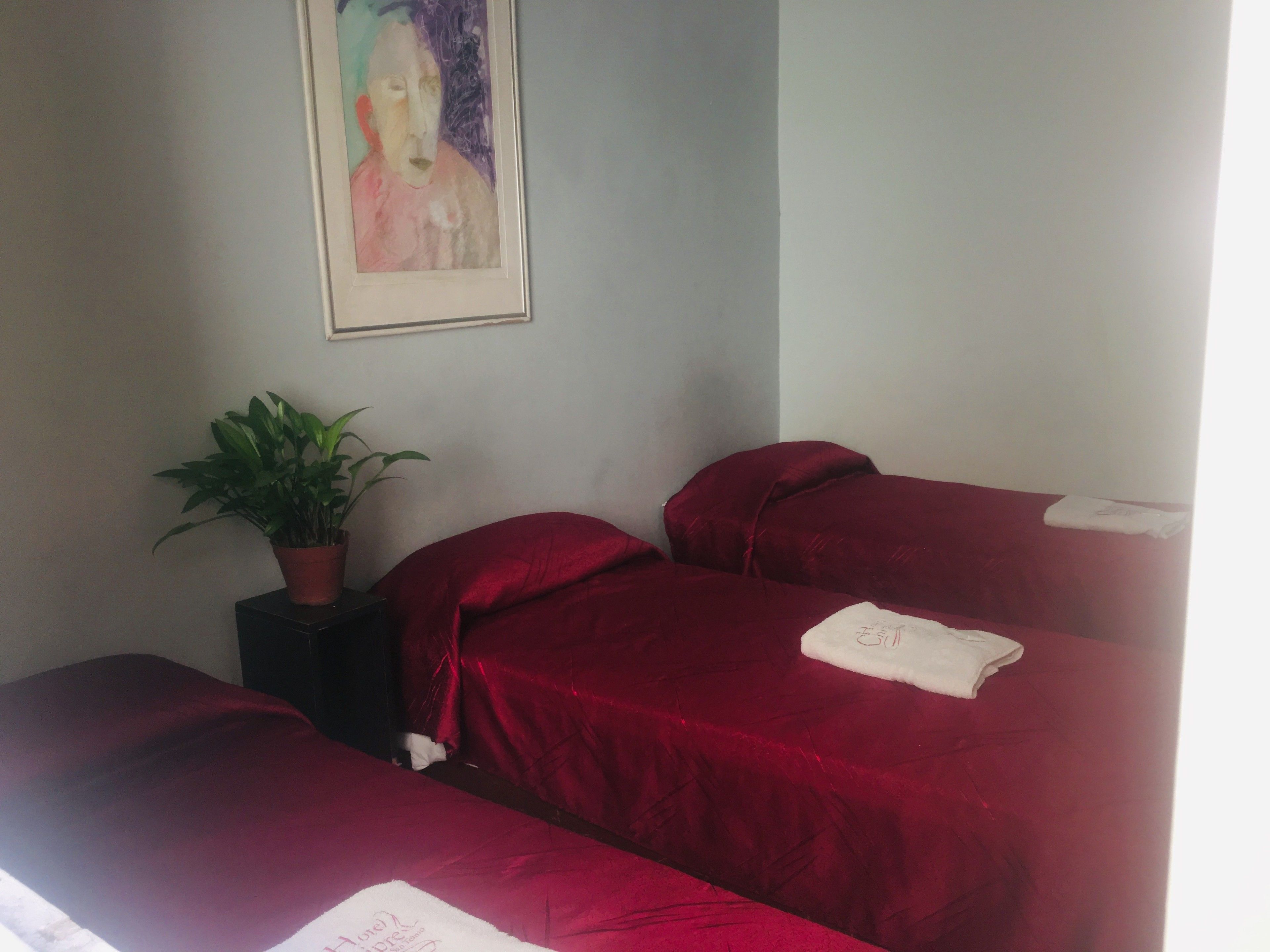 A room with two beds covered in red bedding, a potted plant on a small table, and a framed artwork on the wall.