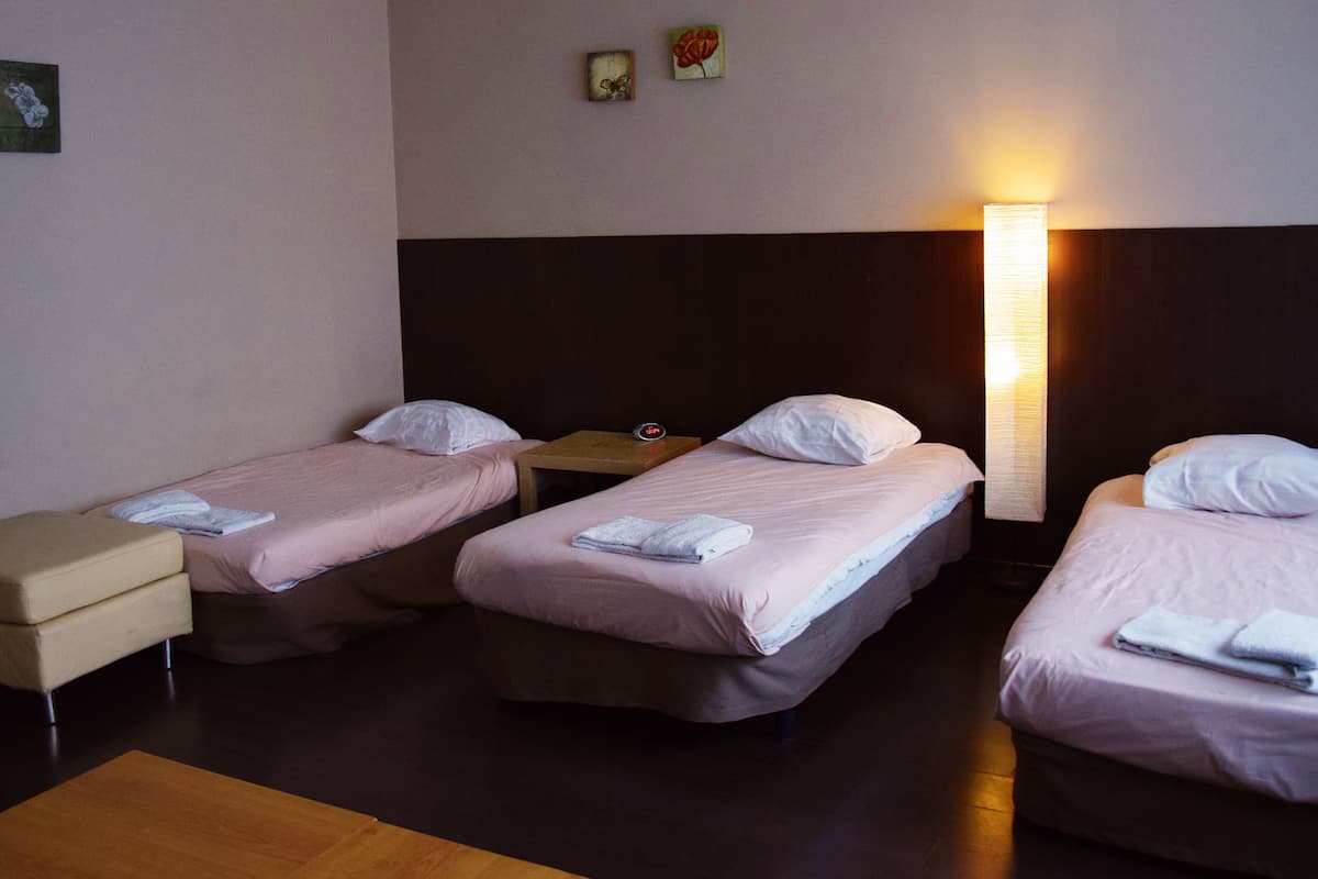 Studio, 3 Twin Beds | Desk, iron/ironing board (on request), cribs (surcharge)