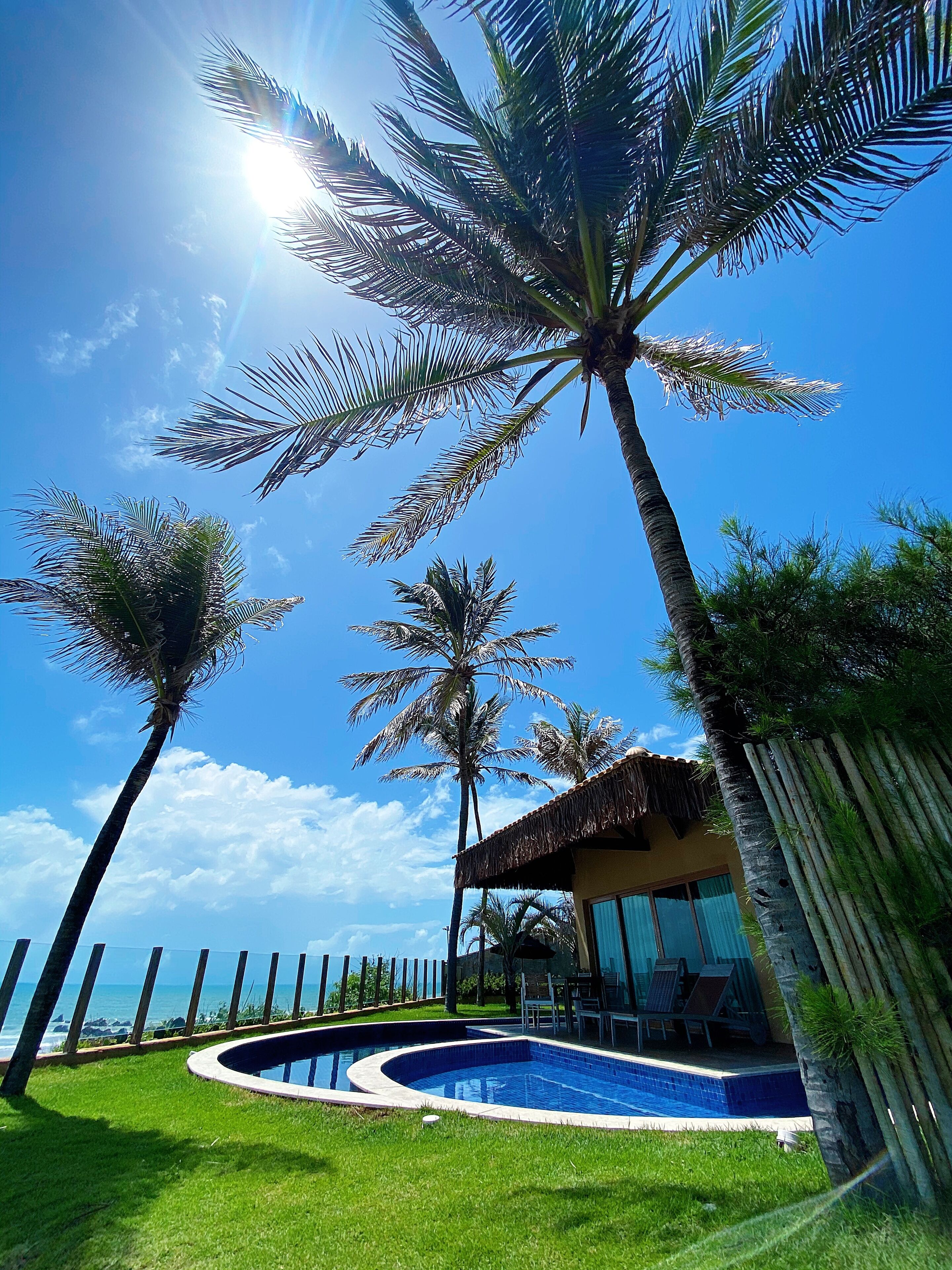 A pool area with palm trees, a thatched-roof structure, and a view of the ocean.