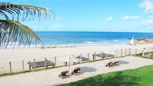 Una playa con tumbonas, sombrillas y una palmera.