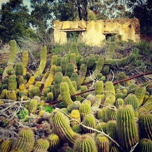 Exterior - Langdam-in-Koo (Robertson)