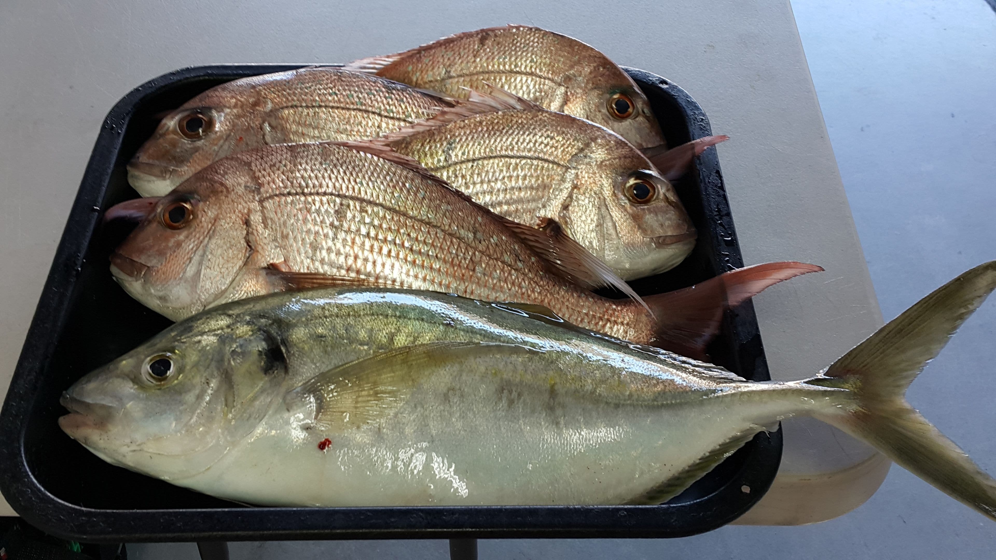 A tray of fish with a black rim.