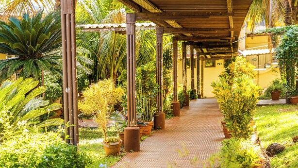 Une allée couverte bordée de plantes en pot et d’un palmier.
