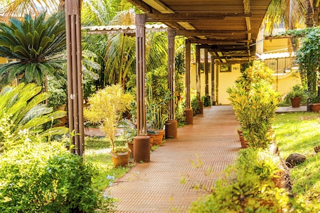 A covered walkway lined with potted plants and a palm tree.