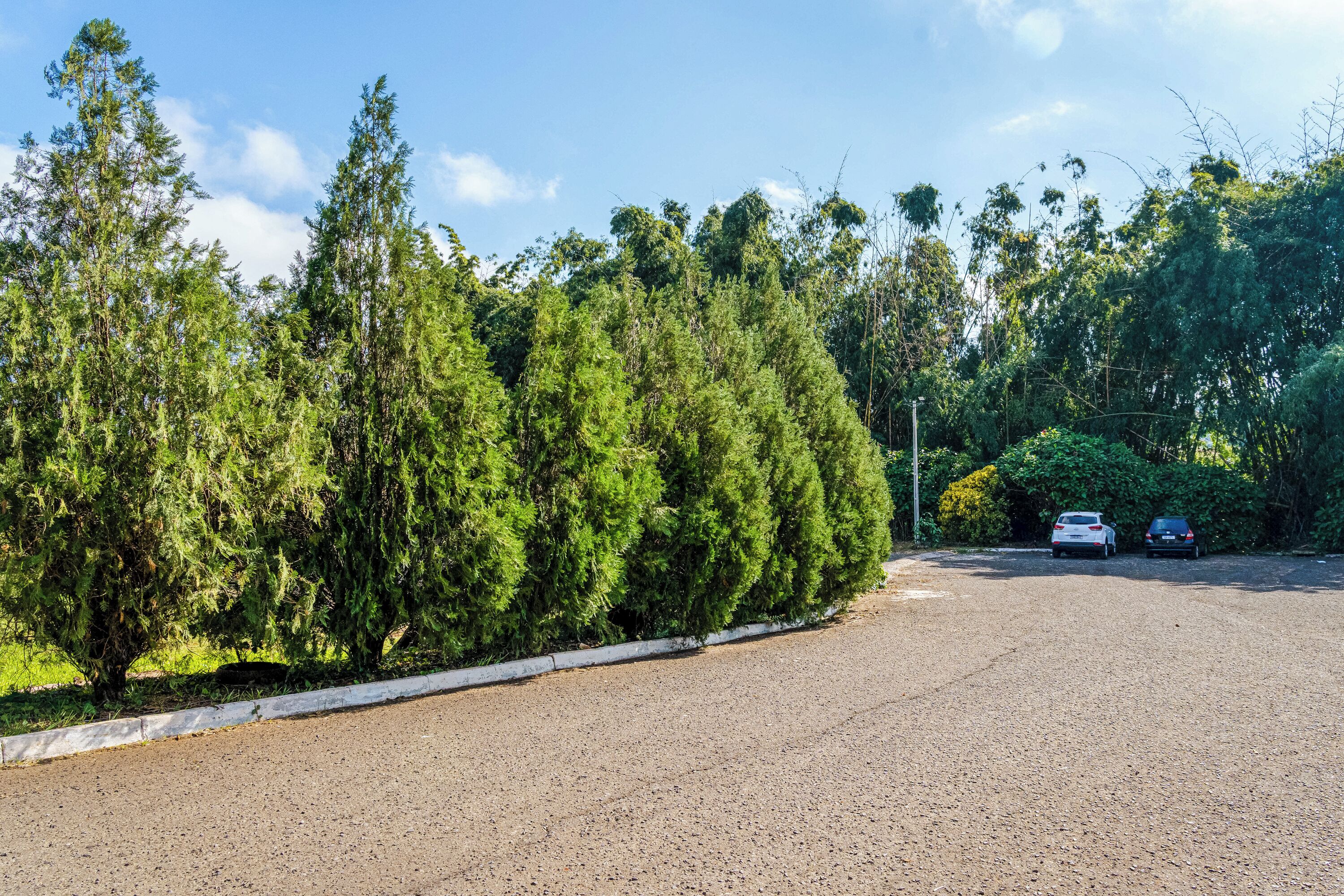 Foto - VELINN Hotel Natureza Foz