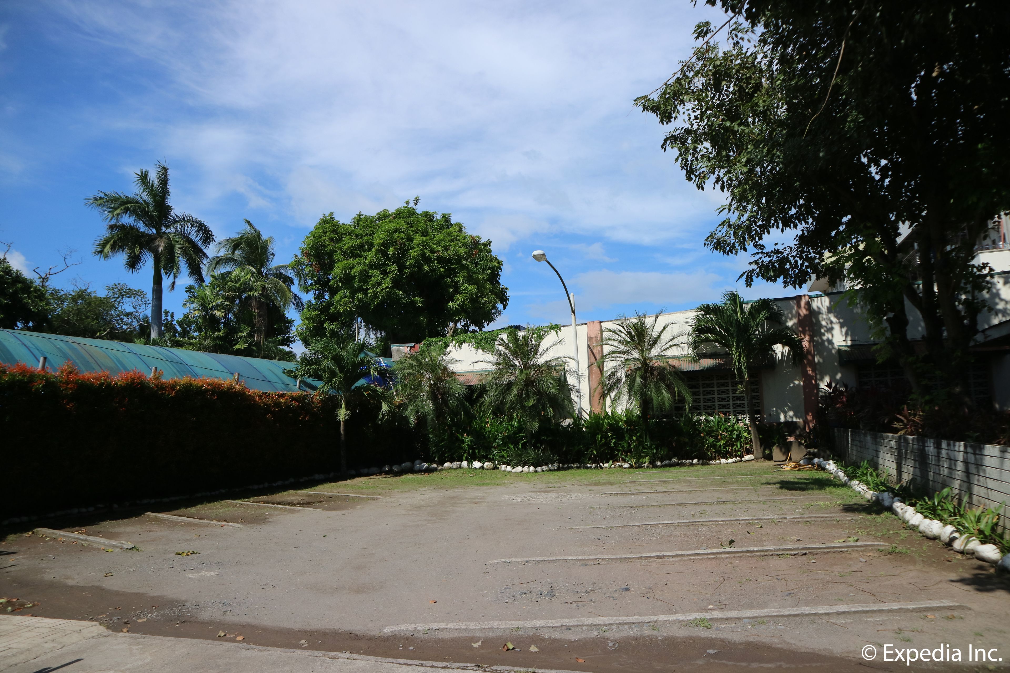 Un estacionamiento con cielo despejado, palmeras y un edificio con techo verde.