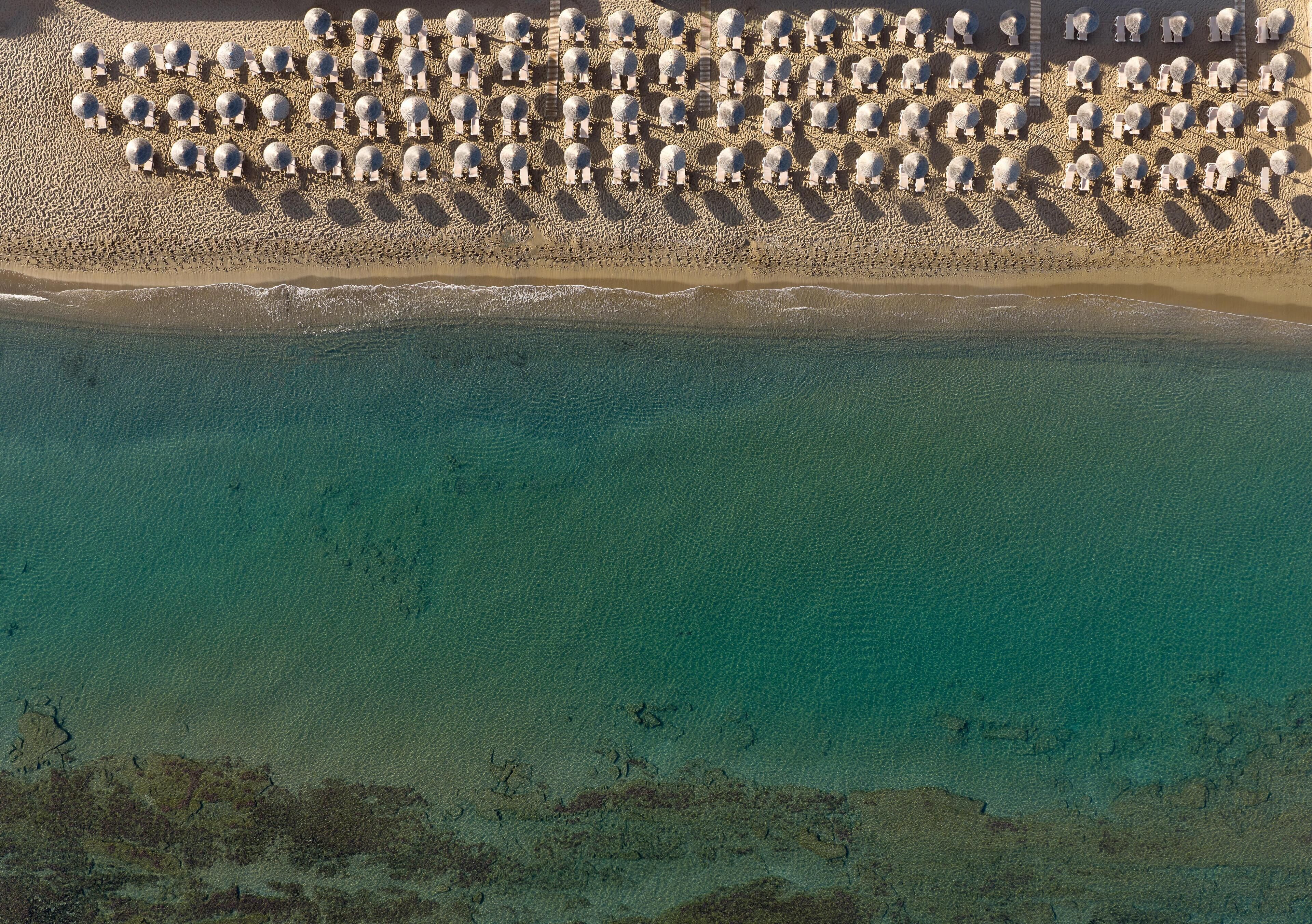 An aerial view of a beach with numerous white umbrellas arranged in rows.
