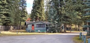 A rustic cabin with a red door, surrounded by tall evergreen trees, and a gravel path leading to it.