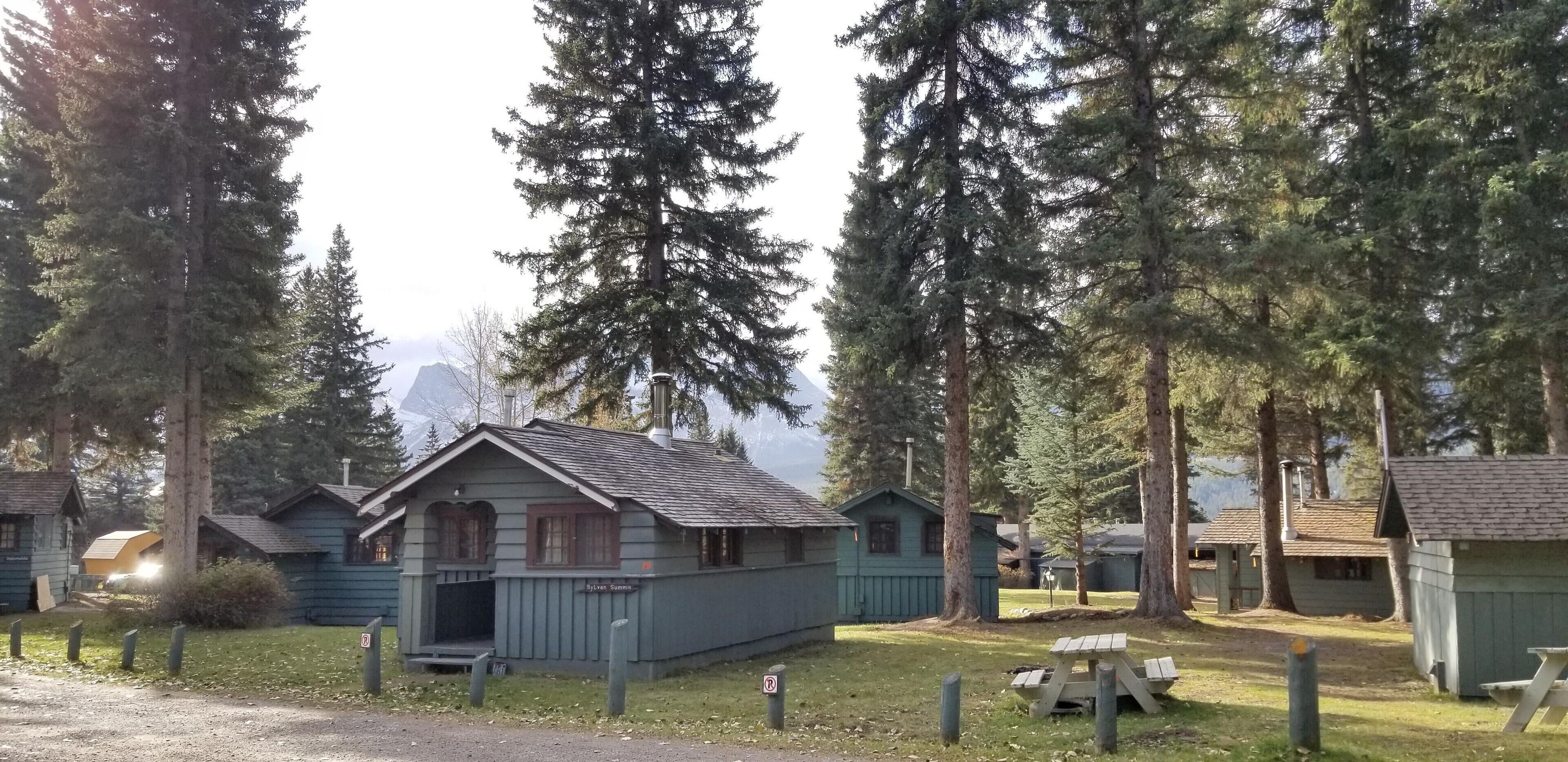 Un chalet rustique, doté d’un toit en pente, entouré de grands pins.